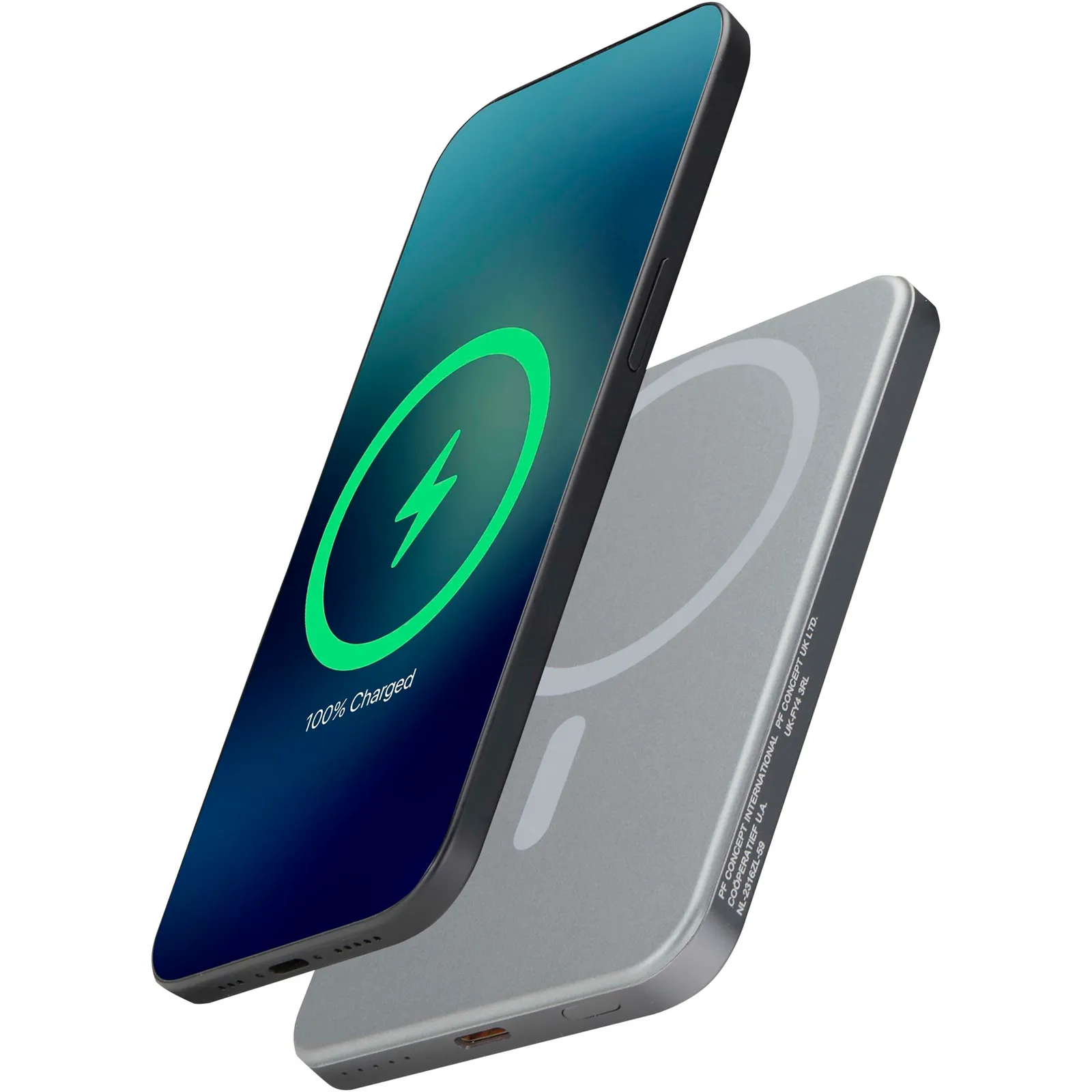 Powerbank Avis 124443 Canna di fucile
