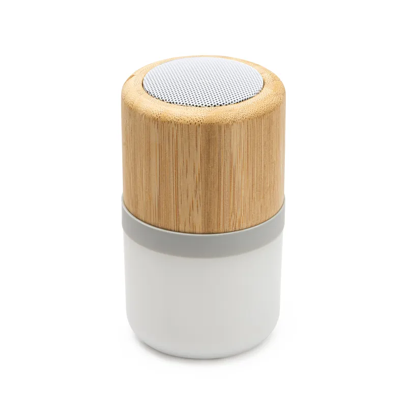 Speaker Stamina Ozcan