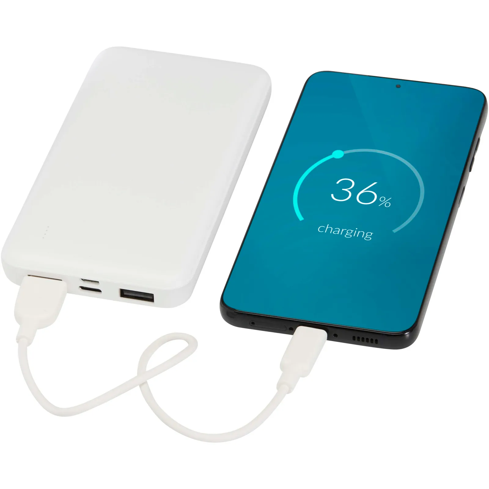 Powerbank W 124458 Bianco dettaglio 1
