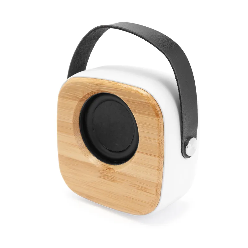 Speaker Stamina Alesso