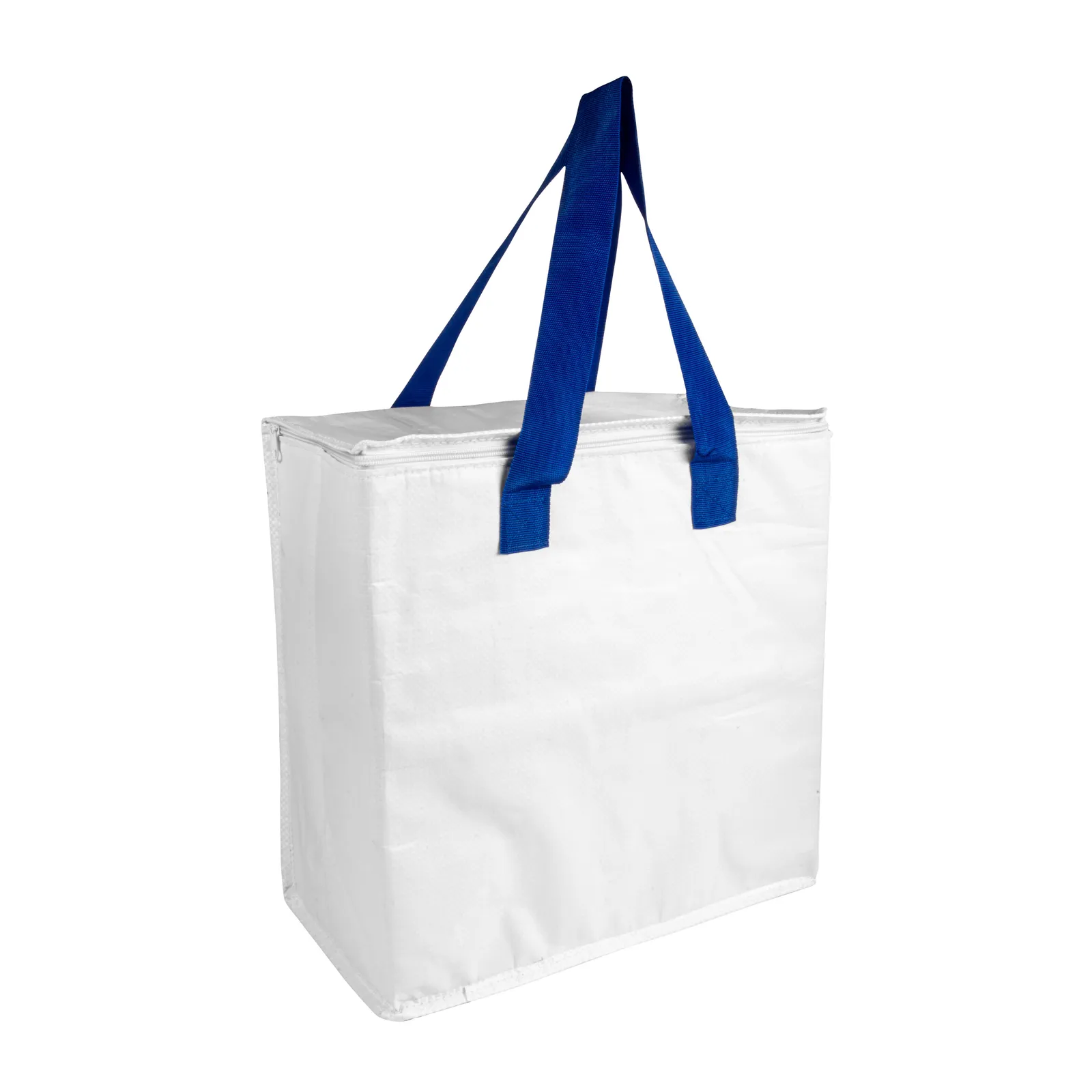 Borsa frigo 21119