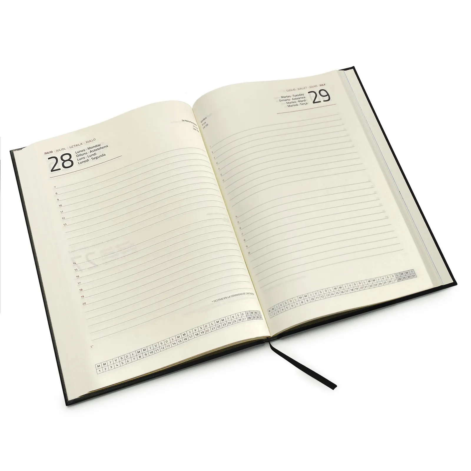 Selkis AG8083 dettaglio 1